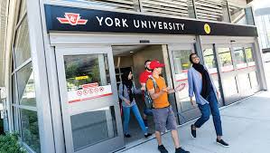 York University Scholarships for Undergraduates